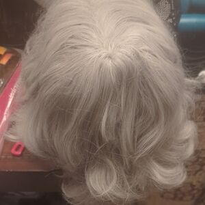 Chic Silver Women's Wig
